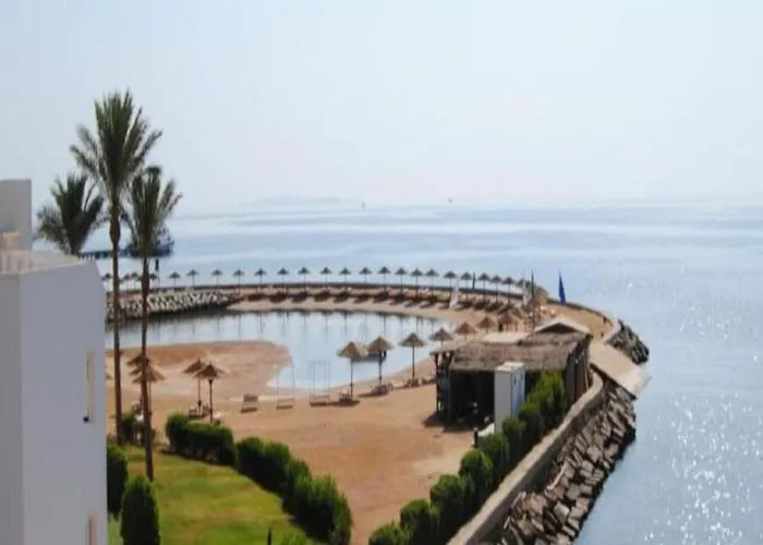 Steps From & Near Airport Furnteched, Kitchenette, Full Free Wifi Apartment *