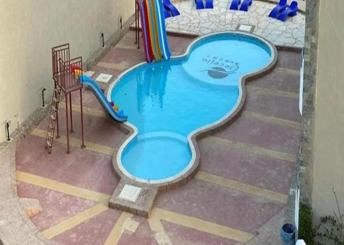 Apartment Steps From & Near Airport Furnteched, Kitchenette, Full Free Wifi *