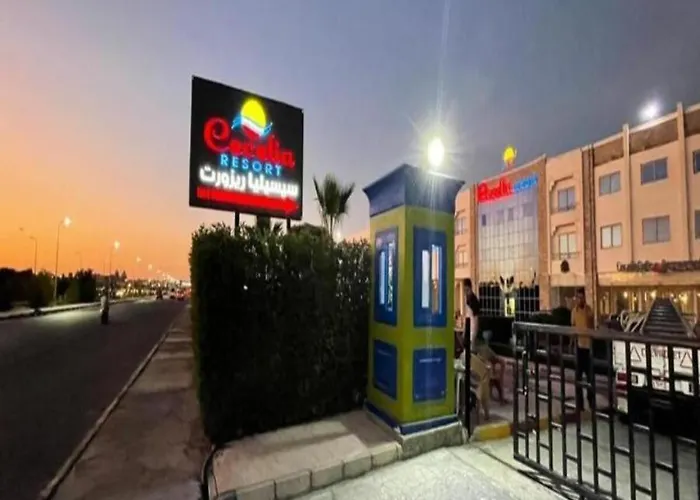 Steps From & Near Airport Furnteched, Kitchenette, Full Free Wifi Apartment