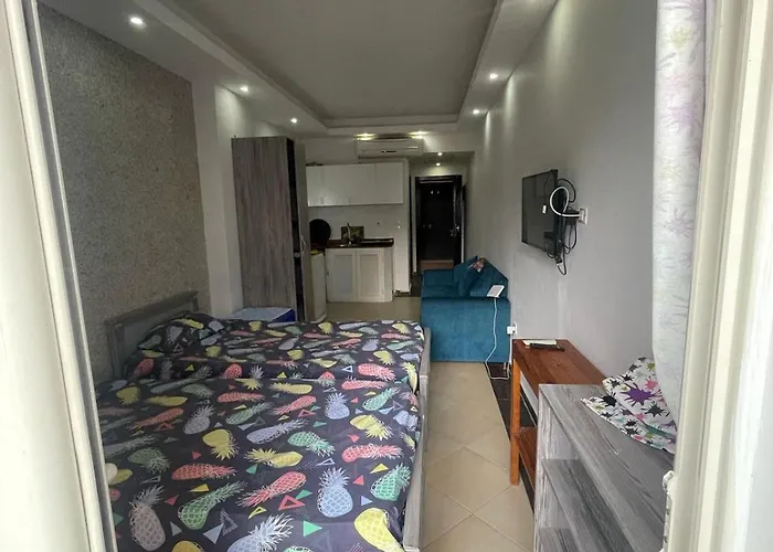 Steps From & Near Airport Furnteched, Kitchenette, Full Free Wifi Apartment *